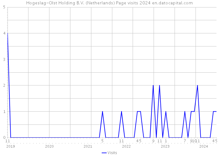 Hogeslag-Olst Holding B.V. (Netherlands) Page visits 2024 