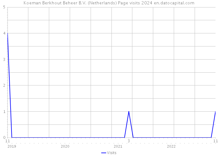 Koeman Berkhout Beheer B.V. (Netherlands) Page visits 2024 