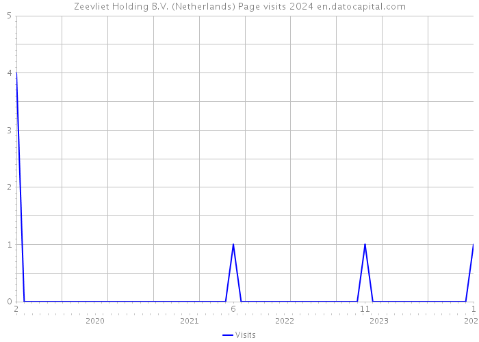 Zeevliet Holding B.V. (Netherlands) Page visits 2024 