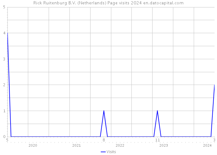 Rick Ruitenburg B.V. (Netherlands) Page visits 2024 