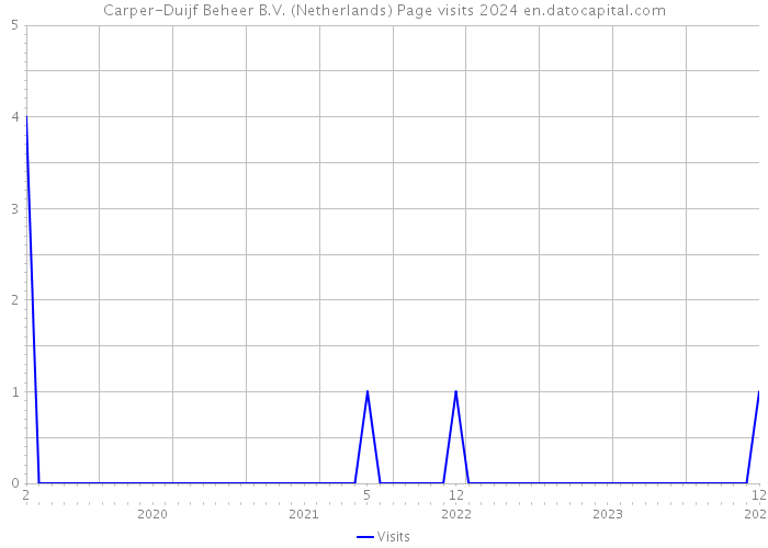 Carper-Duijf Beheer B.V. (Netherlands) Page visits 2024 