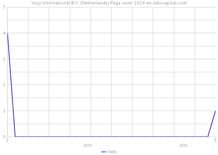 Voys International B.V. (Netherlands) Page visits 2024 