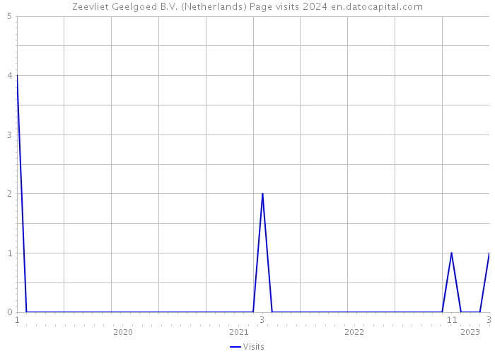 Zeevliet Geelgoed B.V. (Netherlands) Page visits 2024 