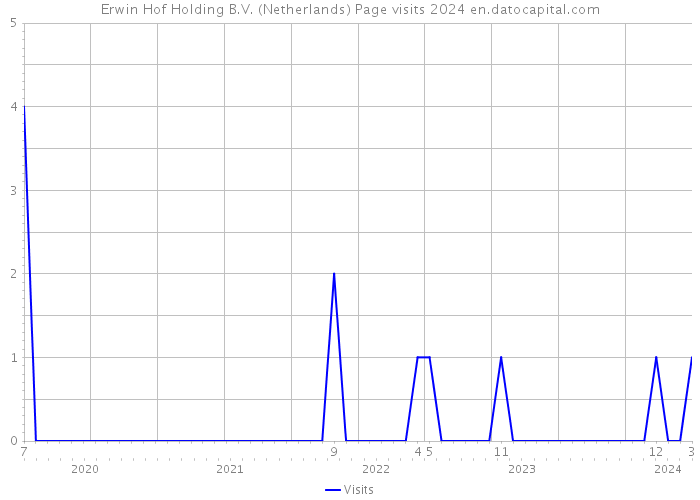 Erwin Hof Holding B.V. (Netherlands) Page visits 2024 