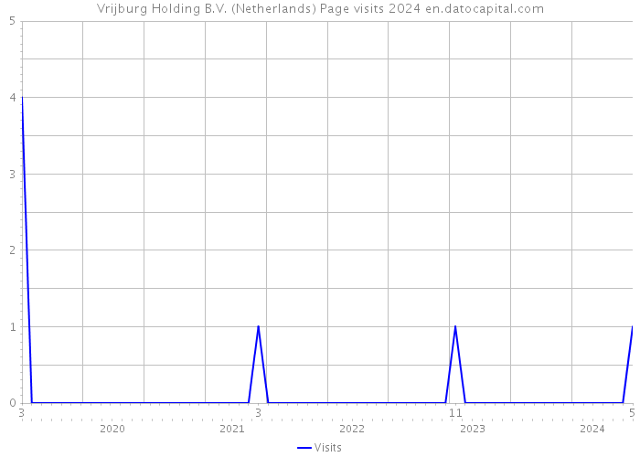 Vrijburg Holding B.V. (Netherlands) Page visits 2024 