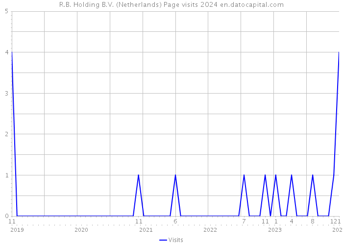R.B. Holding B.V. (Netherlands) Page visits 2024 
