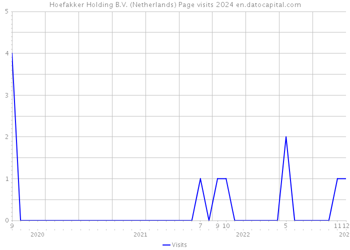 Hoefakker Holding B.V. (Netherlands) Page visits 2024 