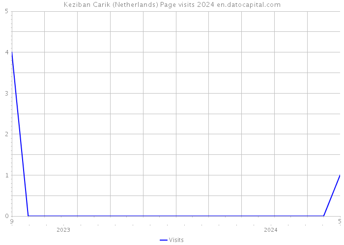 Keziban Carik (Netherlands) Page visits 2024 