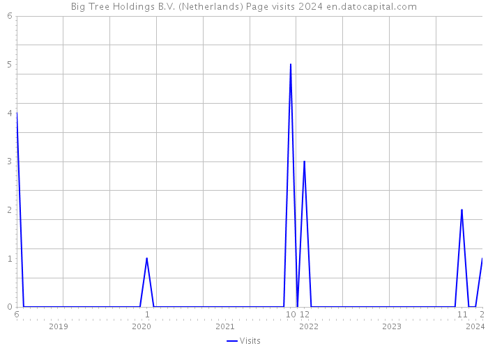 Big Tree Holdings B.V. (Netherlands) Page visits 2024 