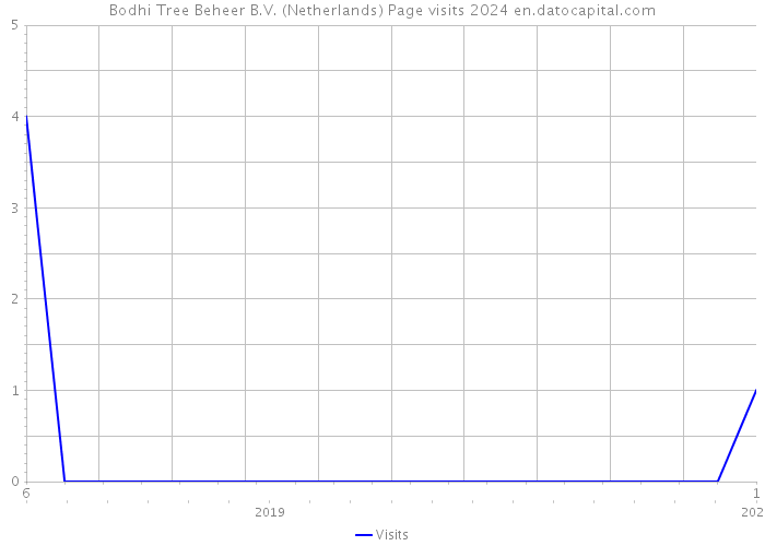 Bodhi Tree Beheer B.V. (Netherlands) Page visits 2024 