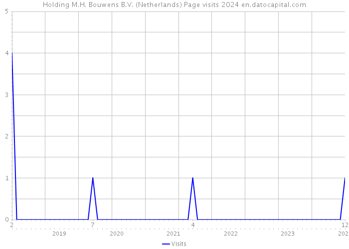 Holding M.H. Bouwens B.V. (Netherlands) Page visits 2024 