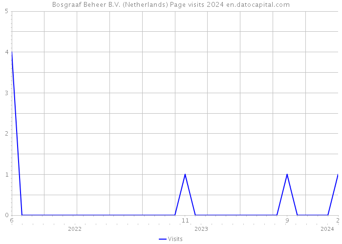Bosgraaf Beheer B.V. (Netherlands) Page visits 2024 