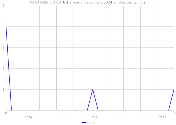 MKS Holding B.V. (Netherlands) Page visits 2024 