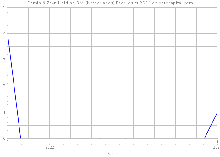 Damin & Zayn Holding B.V. (Netherlands) Page visits 2024 