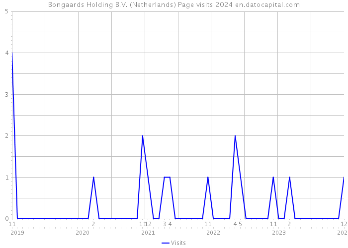 Bongaards Holding B.V. (Netherlands) Page visits 2024 