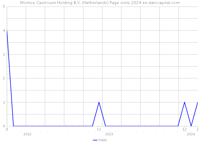 Montoe Castricum Holding B.V. (Netherlands) Page visits 2024 