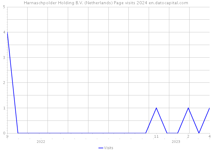 Harnaschpolder Holding B.V. (Netherlands) Page visits 2024 