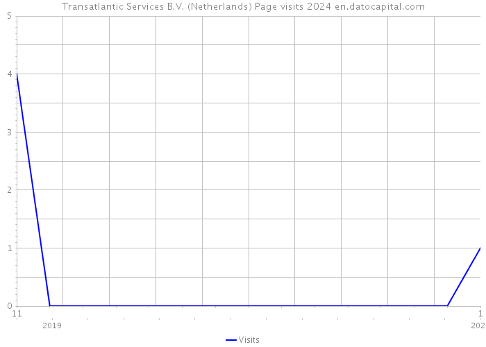 Transatlantic Services B.V. (Netherlands) Page visits 2024 
