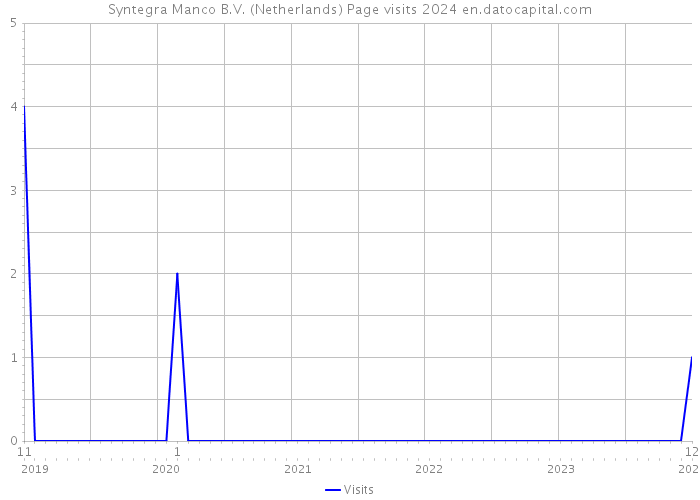 Syntegra Manco B.V. (Netherlands) Page visits 2024 