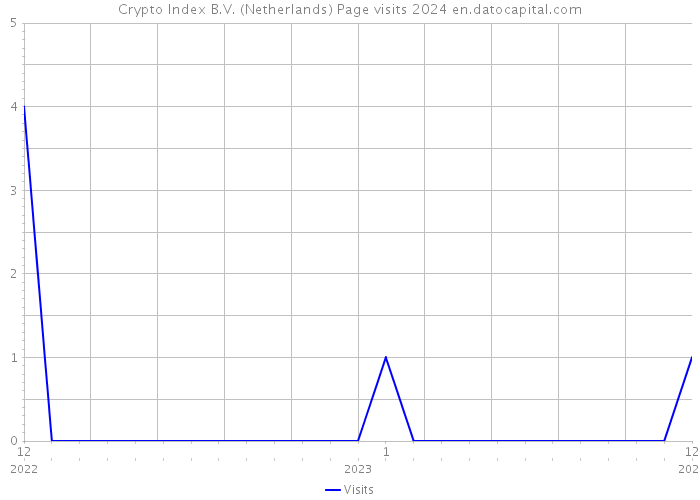 Crypto Index B.V. (Netherlands) Page visits 2024 