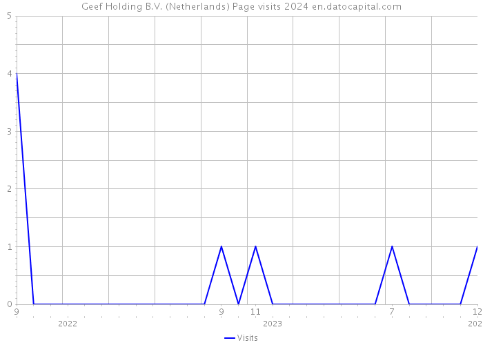 Geef Holding B.V. (Netherlands) Page visits 2024 