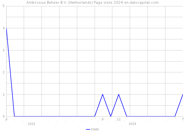 Ambrosius Beheer B.V. (Netherlands) Page visits 2024 