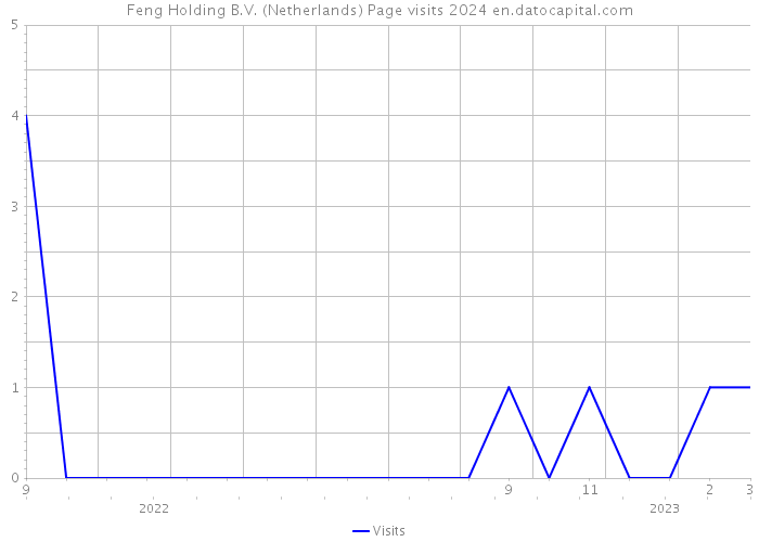 Feng Holding B.V. (Netherlands) Page visits 2024 