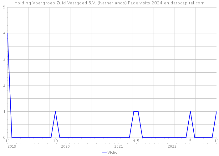 Holding Voergroep Zuid Vastgoed B.V. (Netherlands) Page visits 2024 
