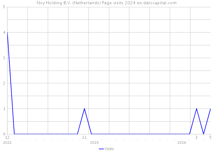 Noy Holding B.V. (Netherlands) Page visits 2024 