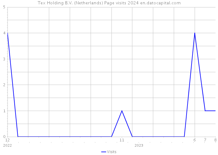 Tex Holding B.V. (Netherlands) Page visits 2024 