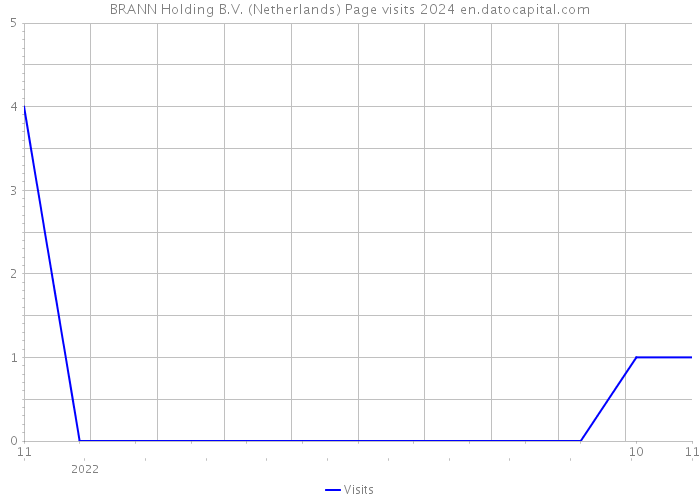BRANN Holding B.V. (Netherlands) Page visits 2024 