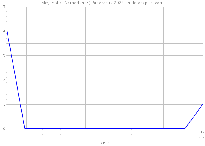 Mayenobe (Netherlands) Page visits 2024 