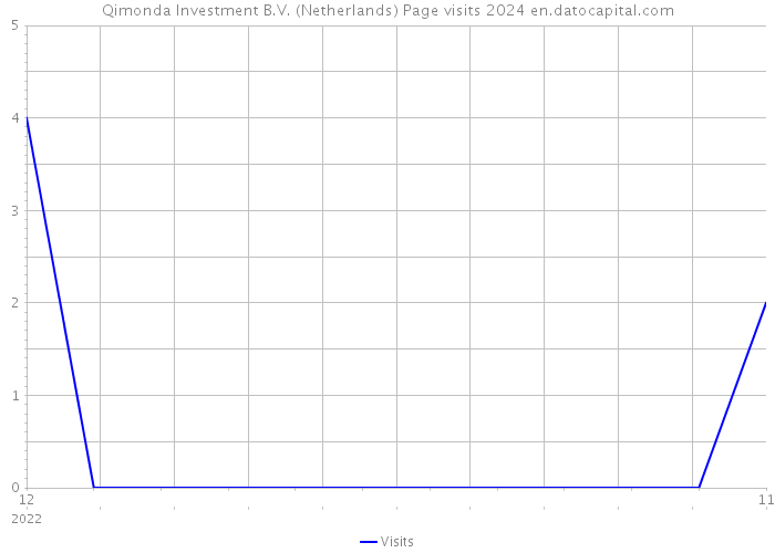 Qimonda Investment B.V. (Netherlands) Page visits 2024 