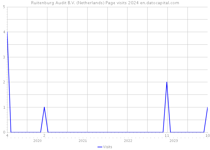 Ruitenburg Audit B.V. (Netherlands) Page visits 2024 