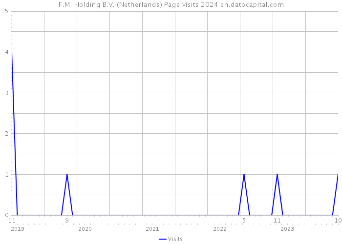 F.M. Holding B.V. (Netherlands) Page visits 2024 