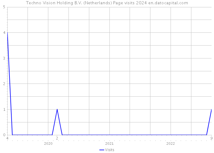 Techno Vision Holding B.V. (Netherlands) Page visits 2024 