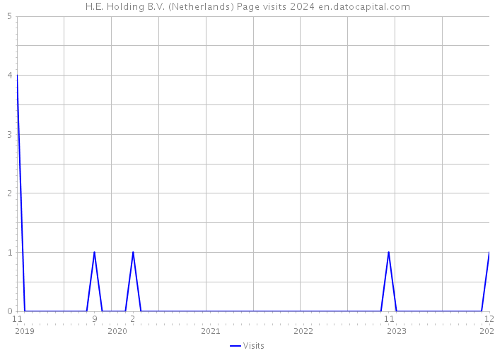 H.E. Holding B.V. (Netherlands) Page visits 2024 