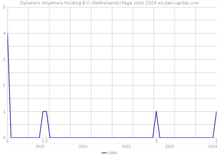 Dynamics Anywhere Holding B.V. (Netherlands) Page visits 2024 