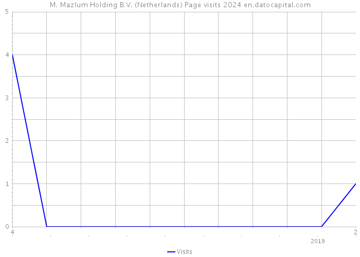 M. Mazlum Holding B.V. (Netherlands) Page visits 2024 