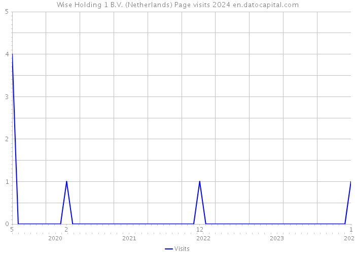 Wise Holding 1 B.V. (Netherlands) Page visits 2024 