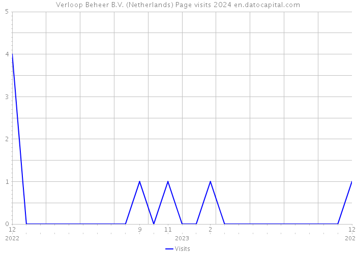 Verloop Beheer B.V. (Netherlands) Page visits 2024 