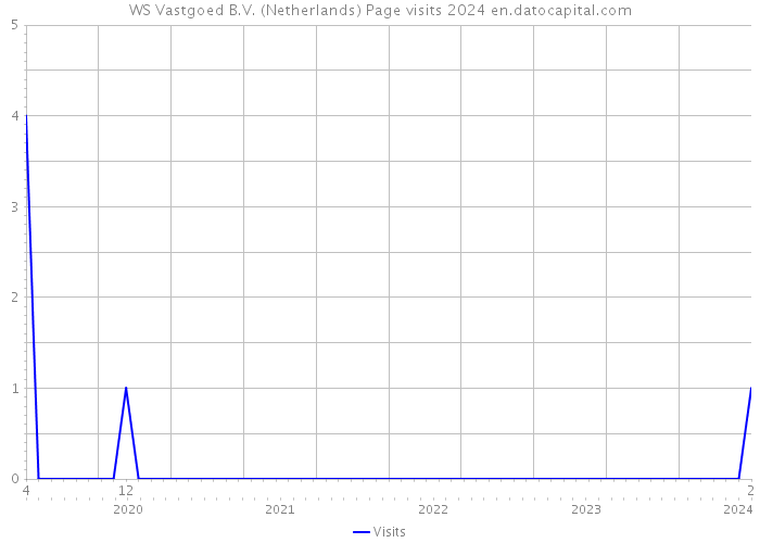 WS Vastgoed B.V. (Netherlands) Page visits 2024 