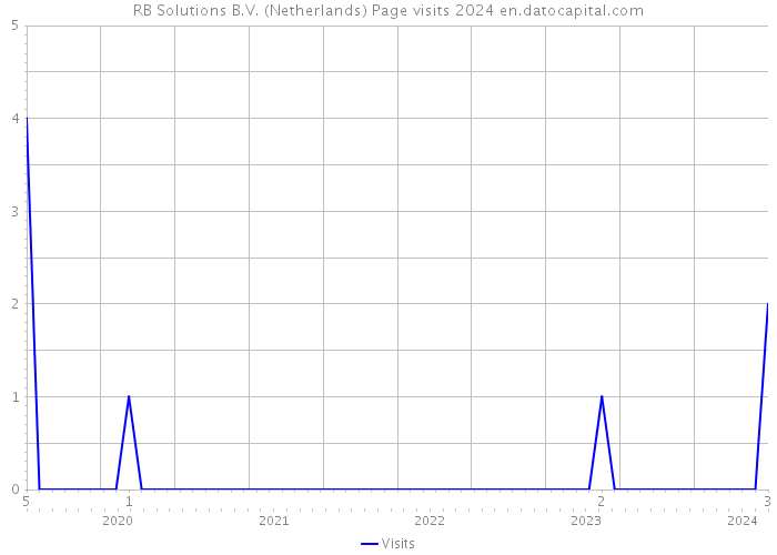 RB Solutions B.V. (Netherlands) Page visits 2024 