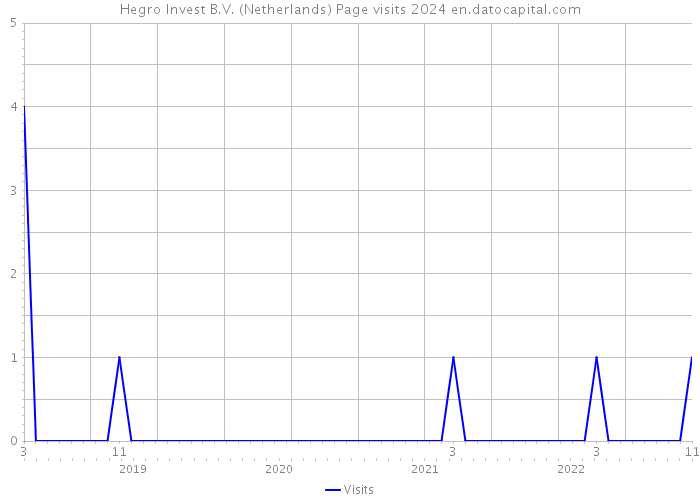 Hegro Invest B.V. (Netherlands) Page visits 2024 