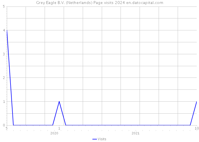 Grey Eagle B.V. (Netherlands) Page visits 2024 