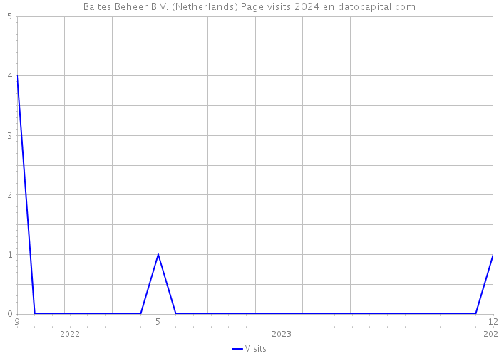 Baltes Beheer B.V. (Netherlands) Page visits 2024 
