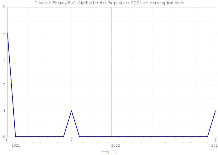 Diversis Energy B.V. (Netherlands) Page visits 2024 