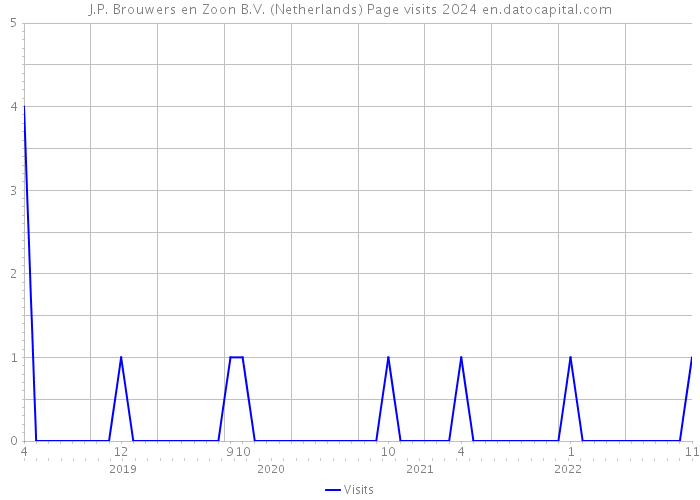 J.P. Brouwers en Zoon B.V. (Netherlands) Page visits 2024 