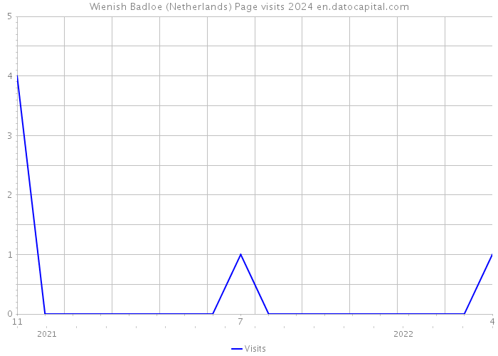 Wienish Badloe (Netherlands) Page visits 2024 