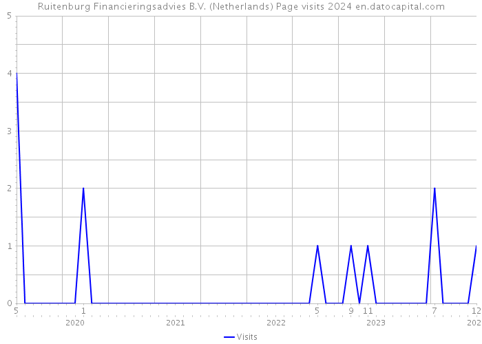 Ruitenburg Financieringsadvies B.V. (Netherlands) Page visits 2024 